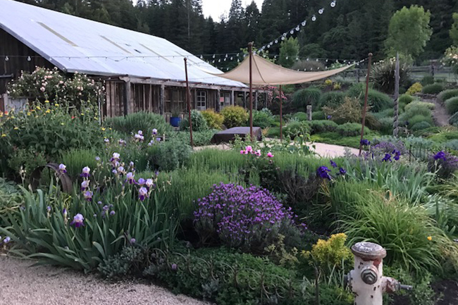 Mendocino County, CA Open Day